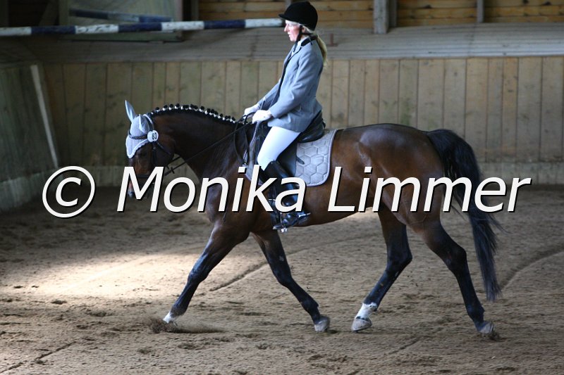 006M6600_Dressurpferde A.JPG